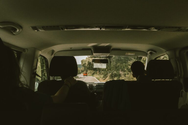 Back Seat Passengers and Seat Belt Laws